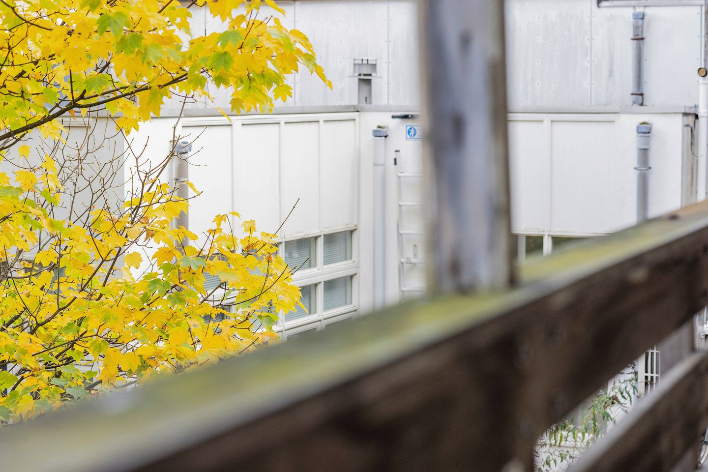 Foto 19 van Oostzeedijk Beneden 211-B01