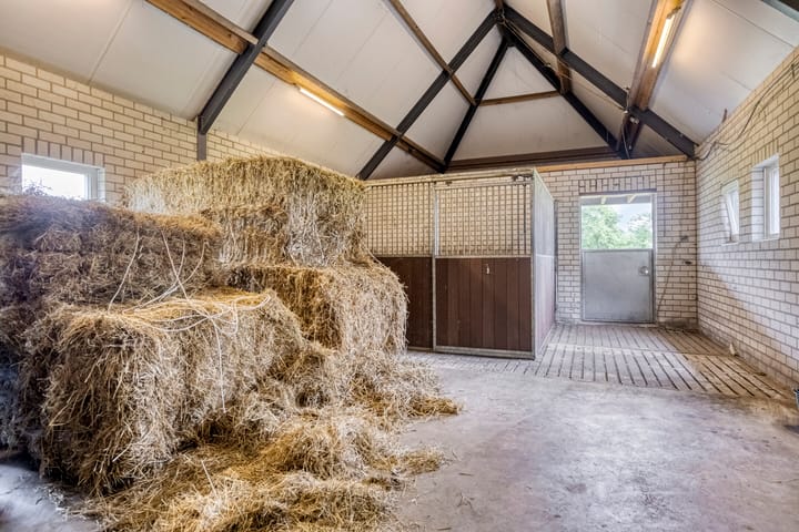 Photo 48 of Jan van Havenstraat 33