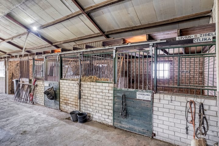 Photo 59 of Jan van Havenstraat 33