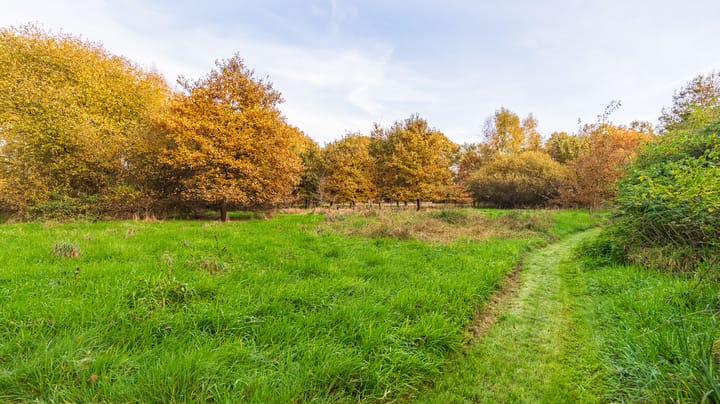 Foto 57 van Kloosterweg 6