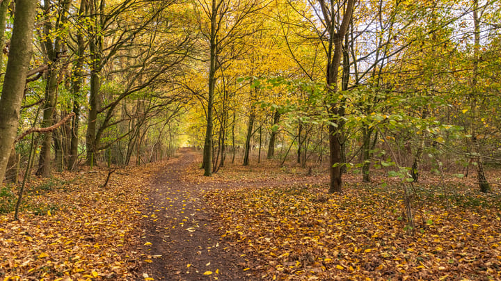 Foto 60 van Kloosterweg 6