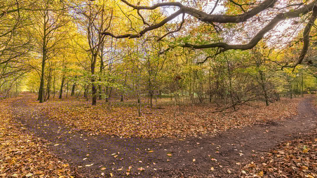 Foto 61 van Kloosterweg 6