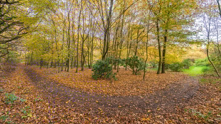 Foto 62 van Kloosterweg 6