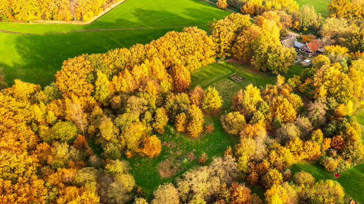 Foto 67 van Kloosterweg 6