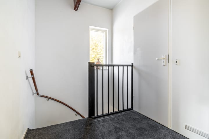 Foto 12 van Distelveld 12