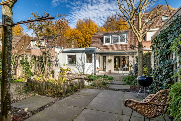 Foto 21 van Distelveld 12