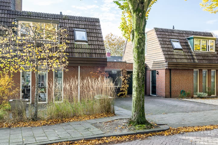 Foto 25 van Distelveld 12