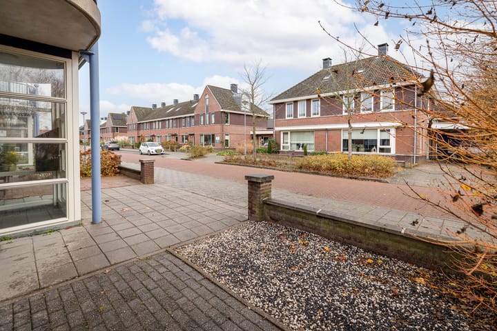 Foto 6 van Roodborst 46