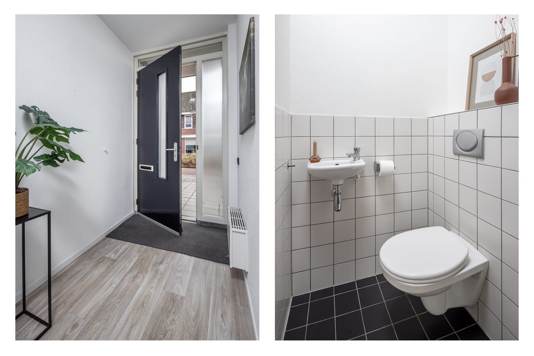 Foto 7 van Roodborst 46