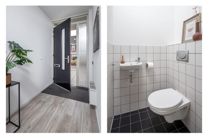 Foto 7 van Roodborst 46