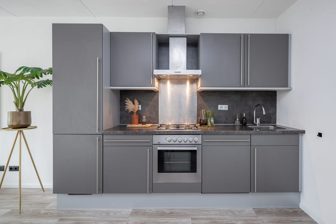 Foto 13 van Roodborst 46