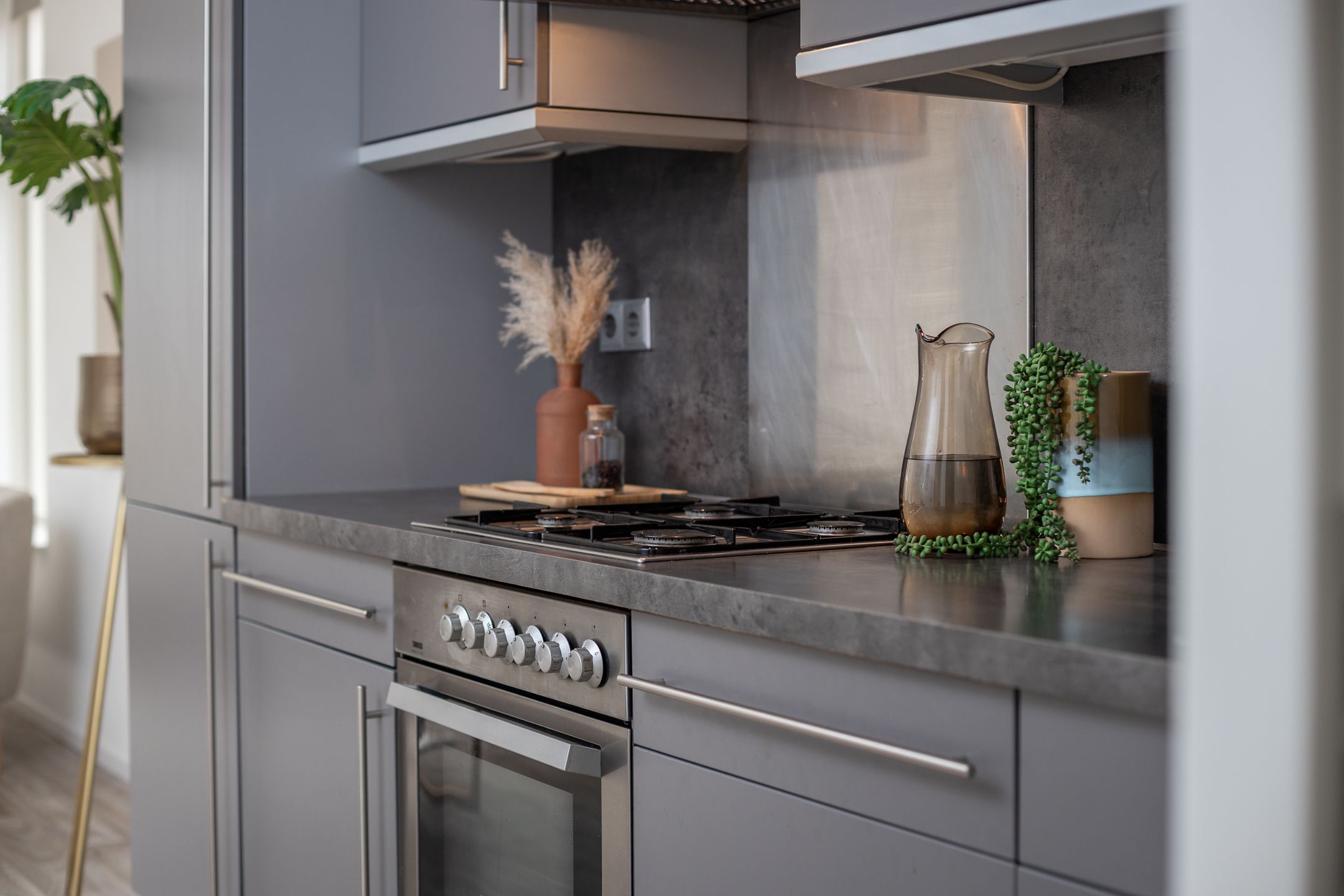 Foto 15 van Roodborst 46