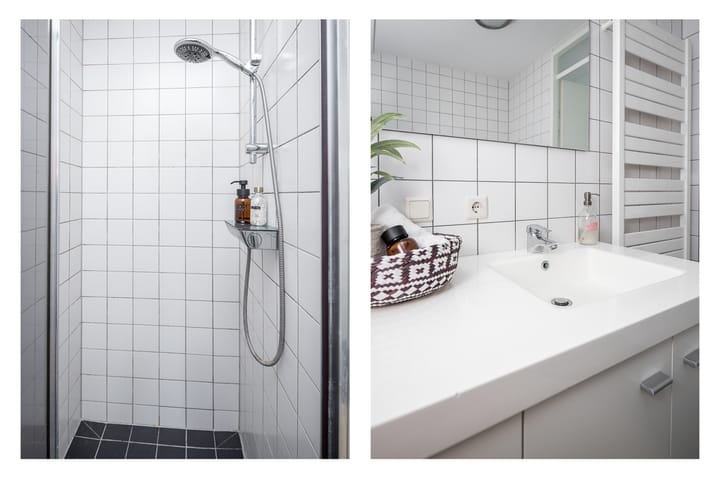 Foto 23 van Roodborst 46