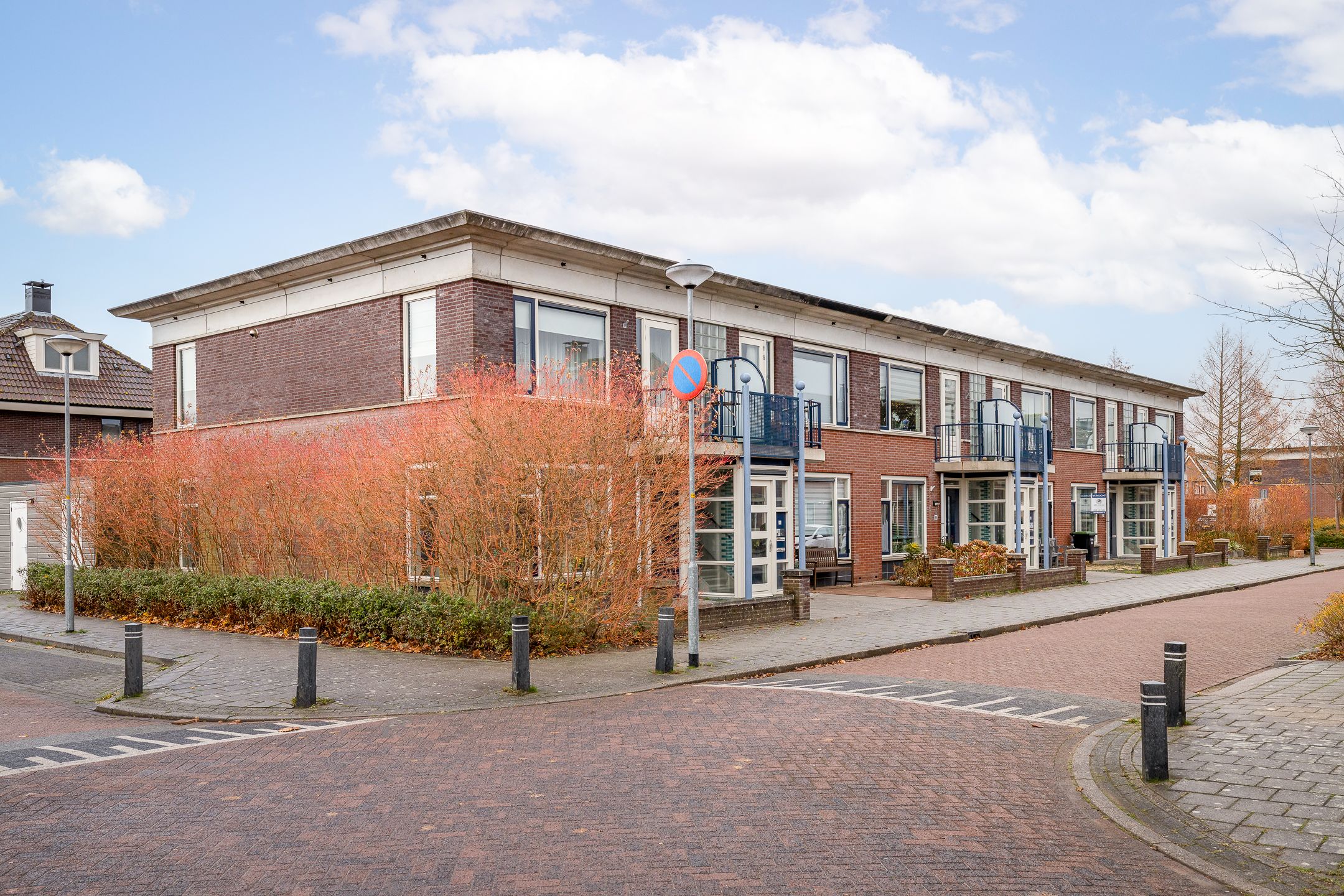 Foto 33 van Roodborst 46