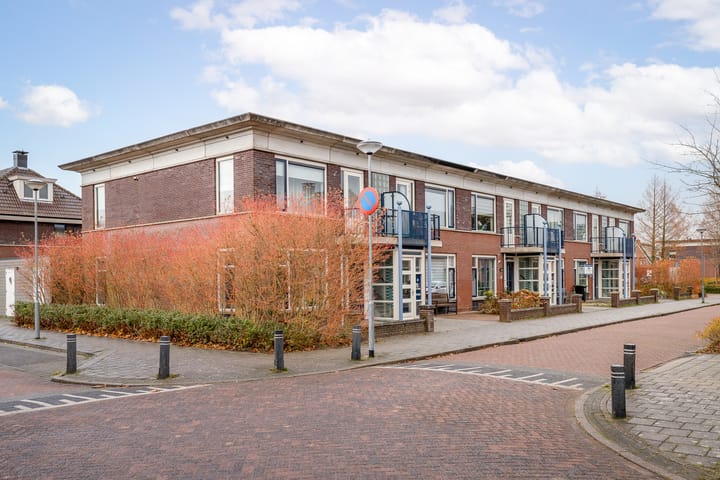 Foto 33 van Roodborst 46