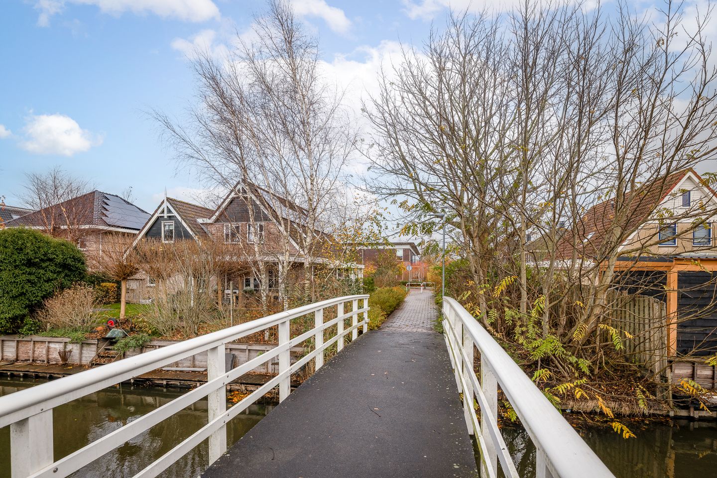 Foto 35 van Roodborst 46