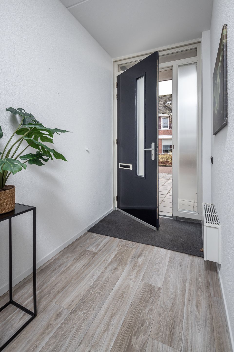 Foto 40 van Roodborst 46