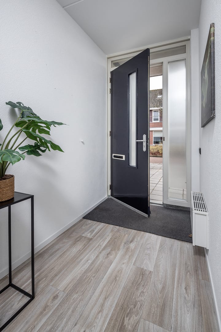 Foto 40 van Roodborst 46