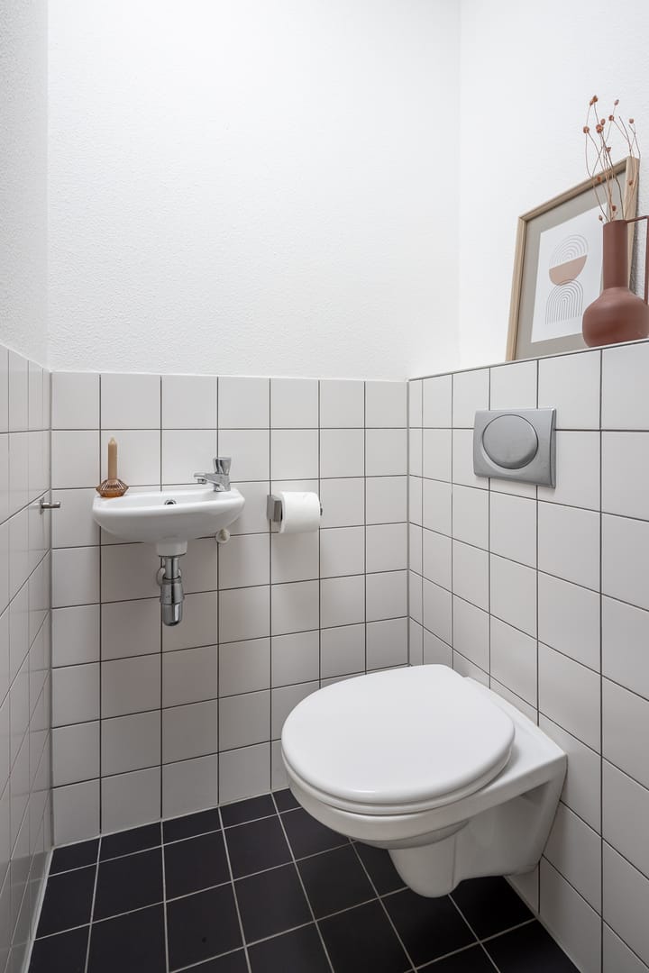 Foto 41 van Roodborst 46