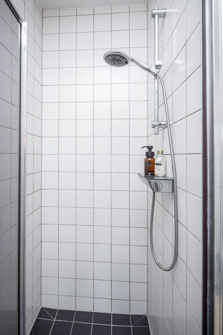 Foto 47 van Roodborst 46