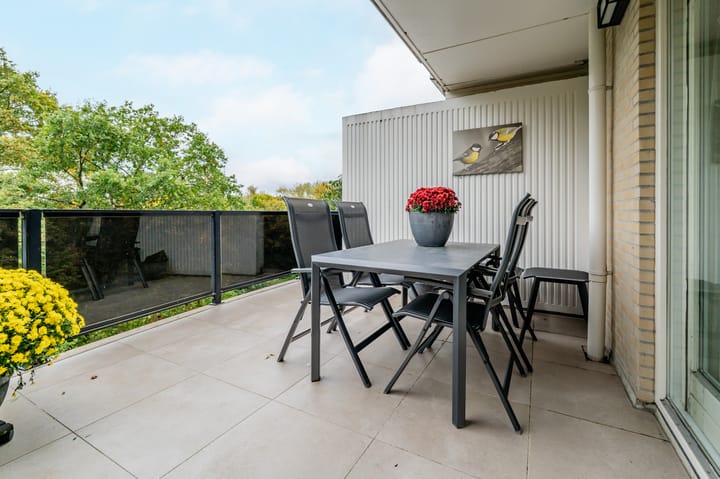 Photo 4 of Kastanjelaan 269