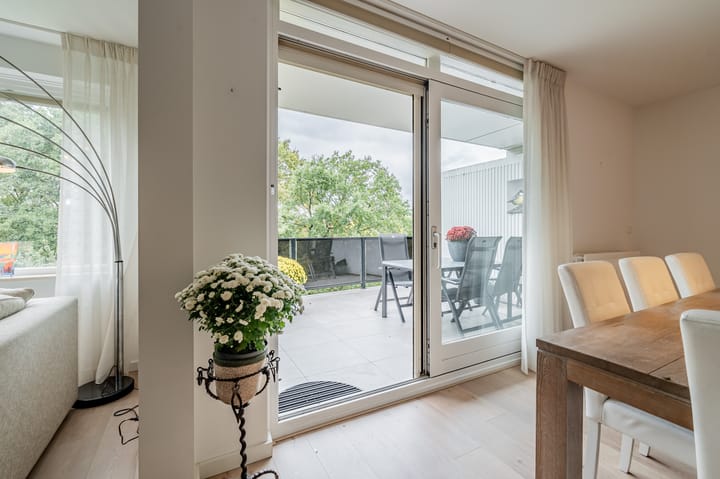 Photo 11 of Kastanjelaan 269