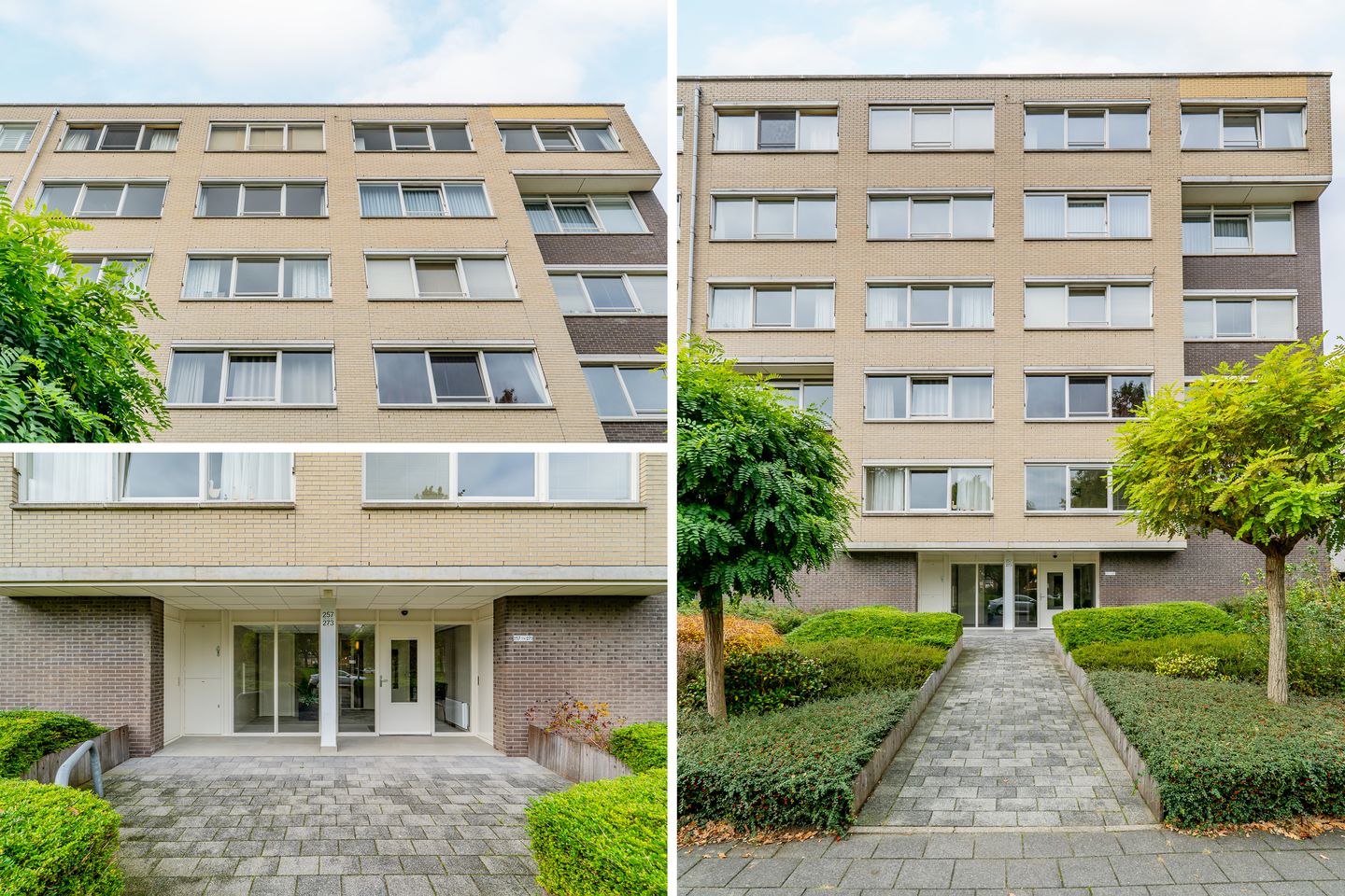 Foto 29 van Kastanjelaan 269