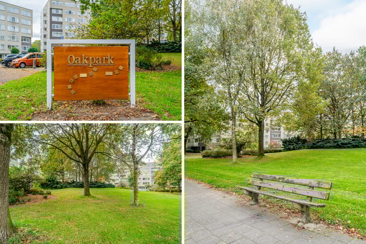 Photo 39 of Kastanjelaan 269