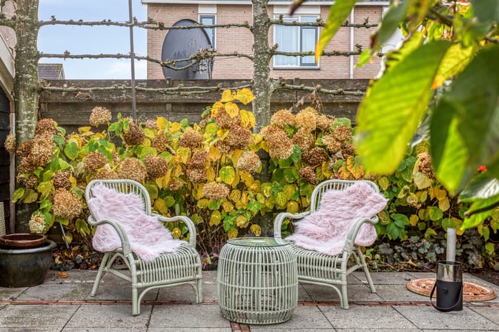 Foto 51 van Erve Roerinck 62