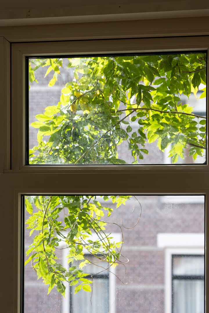 Photo 10 of Schiebroeksestraat 10