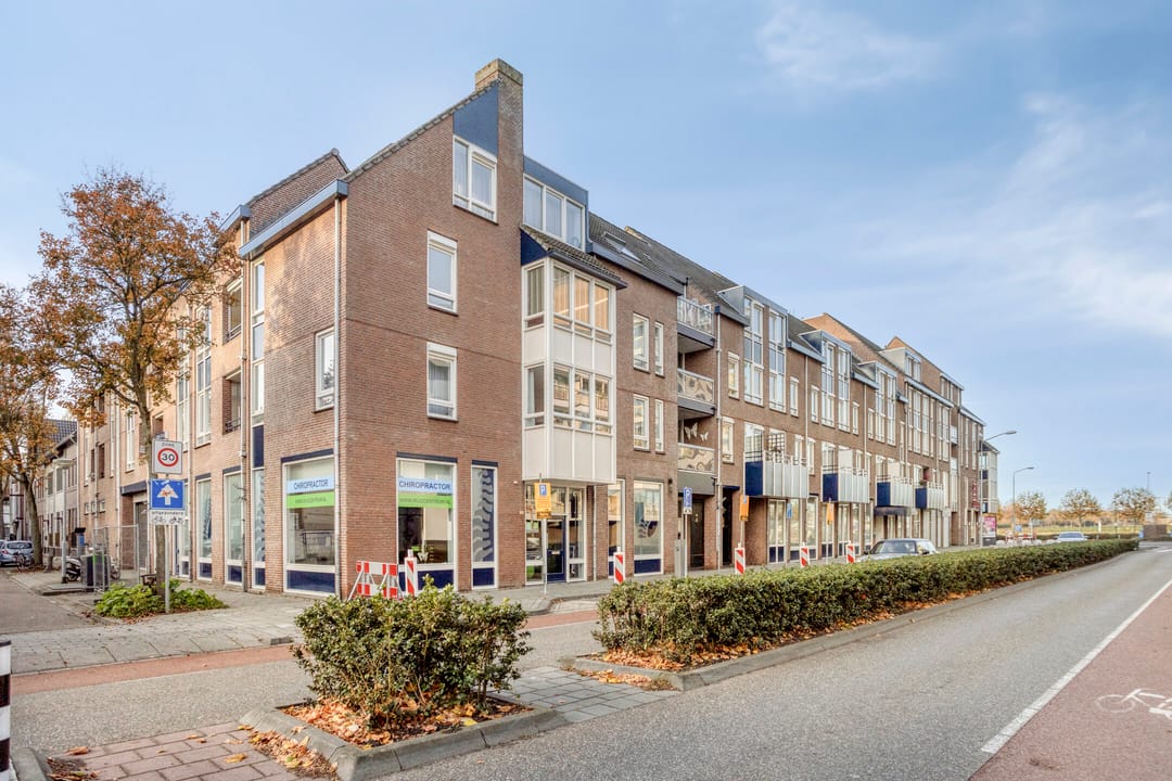 Foto 2 van Puteanusstraat 47