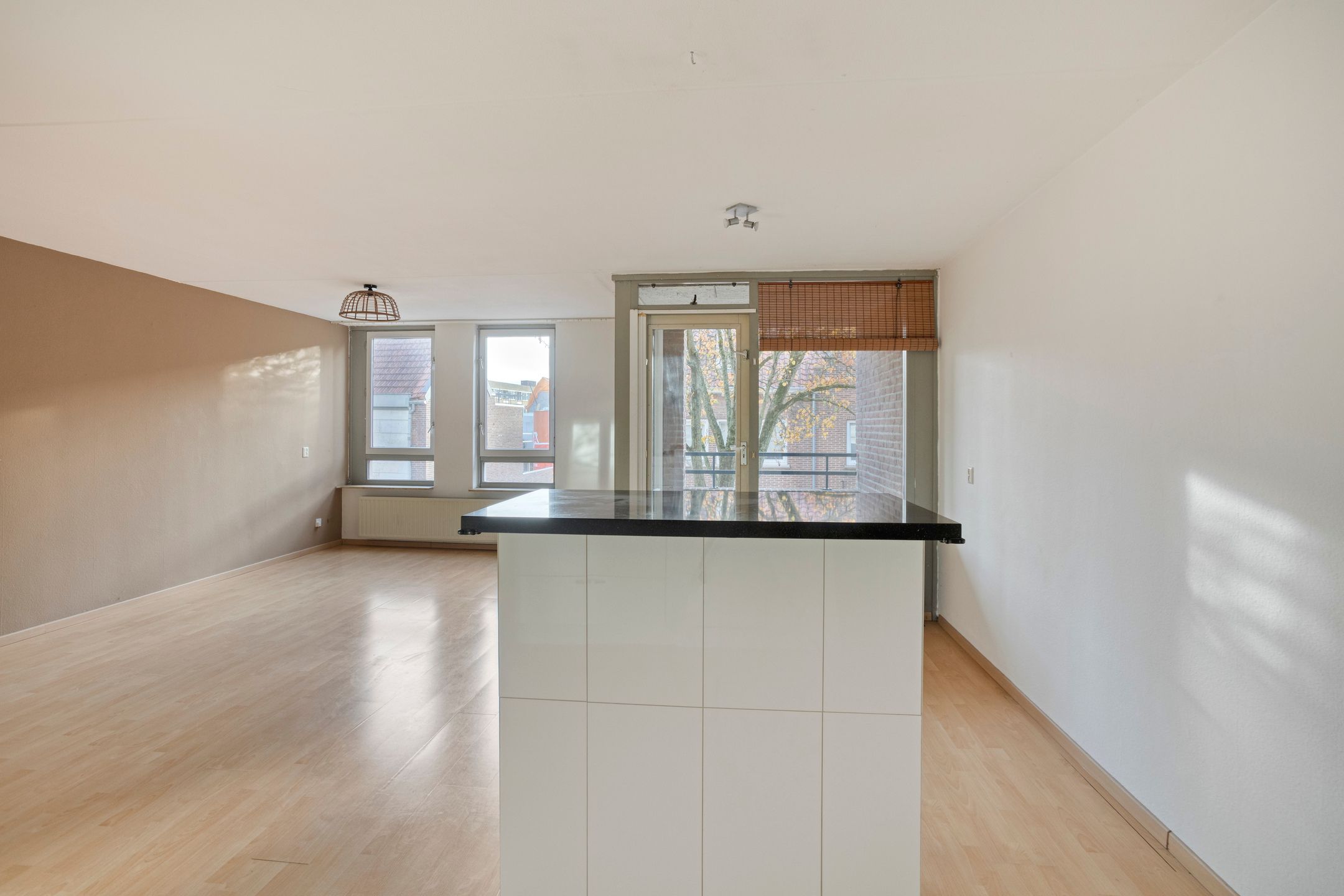 Foto 24 van Puteanusstraat 47