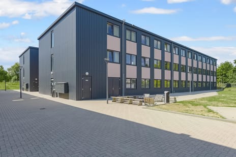 undefined main image