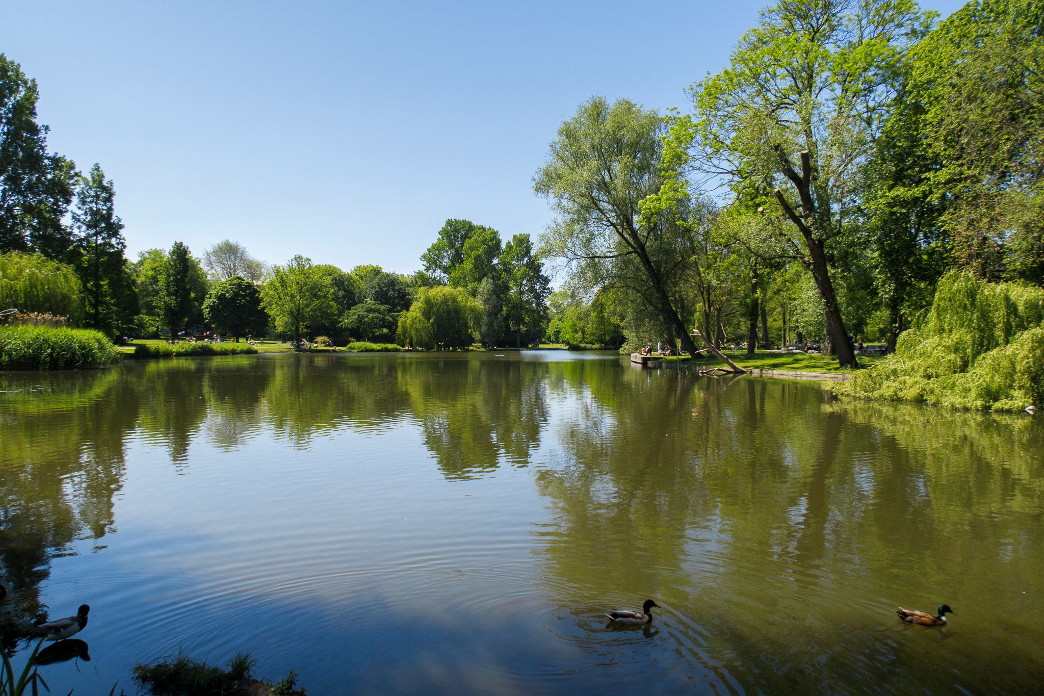 Photo 33 of Czaar Peterstraat 168-D