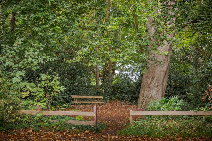 Photo 50 of Jokweg 16