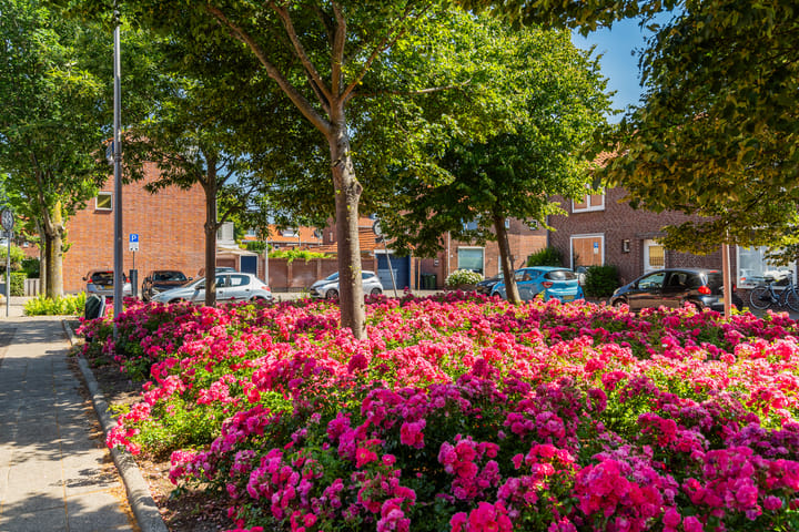 Foto 39 van Hazelaarstraat 38