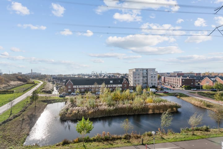 Foto 20 van Sonate 61