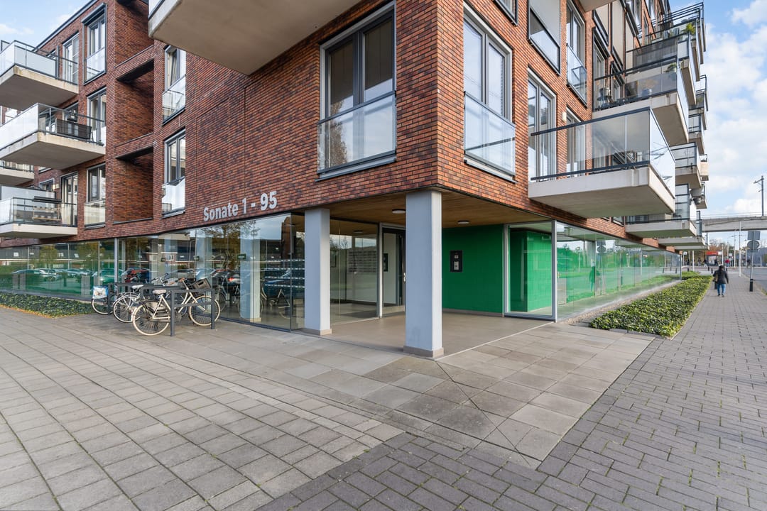 Foto 32 van Sonate 61