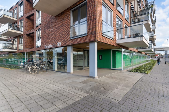 Foto 32 van Sonate 61