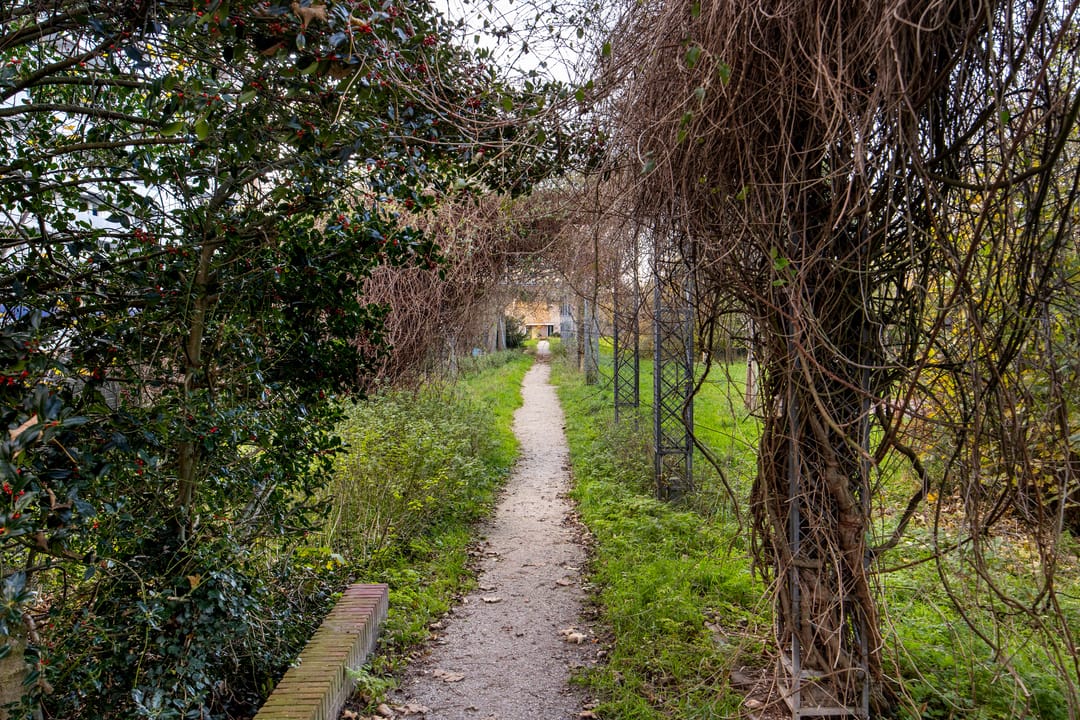 Foto 23 van Schotlandstraat 56