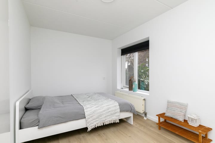 Photo 49 of Pieternel Koomansstraat 74