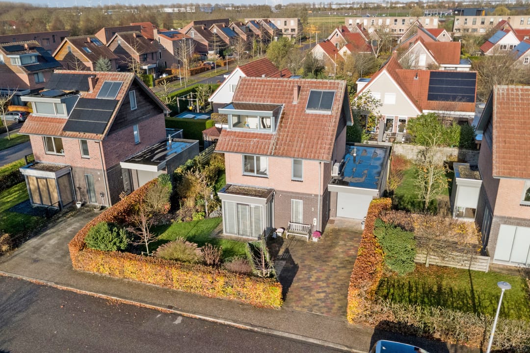 Photo 2 of Duizendknoop 3