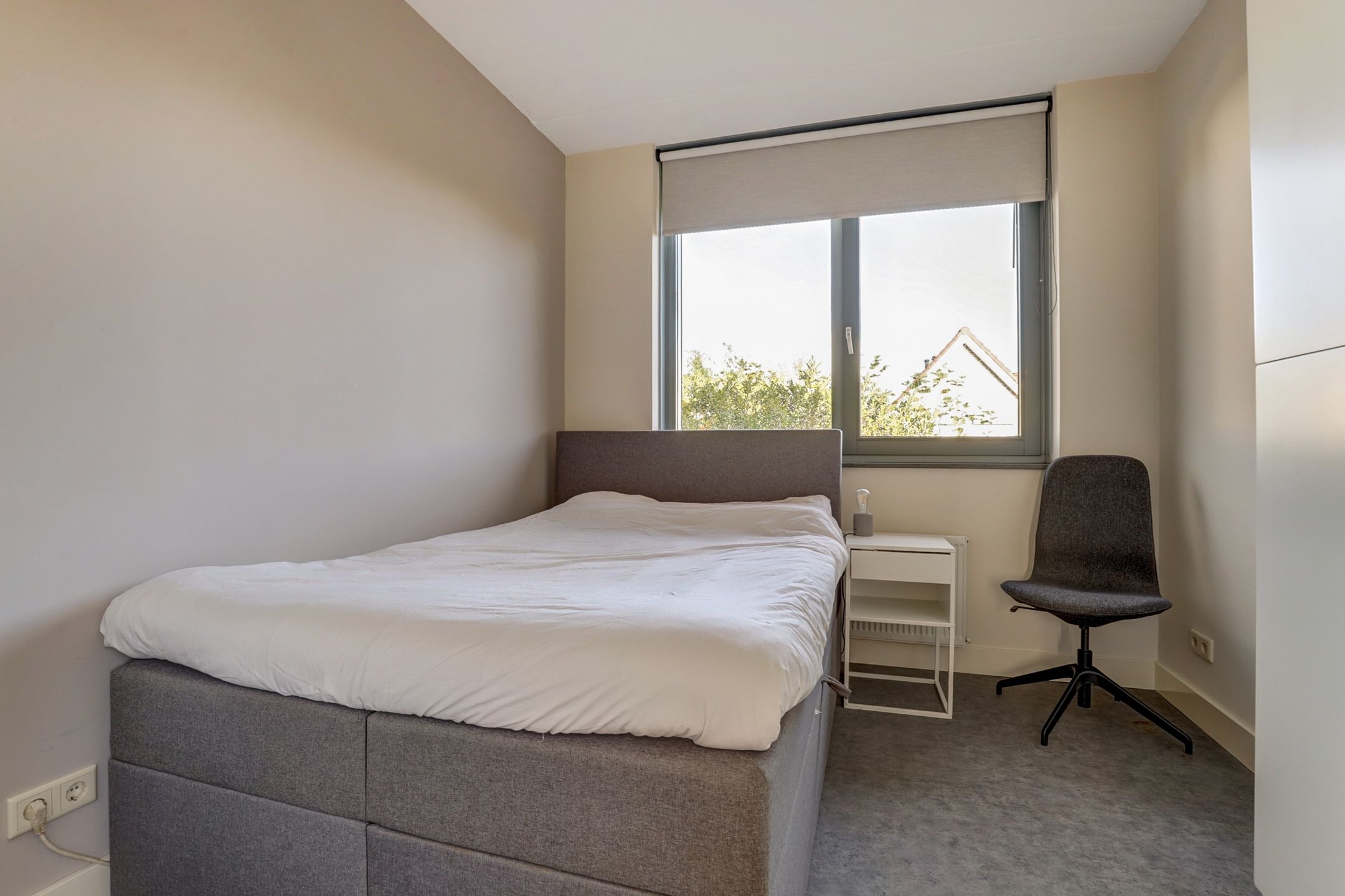 Photo 30 of Duizendknoop 3