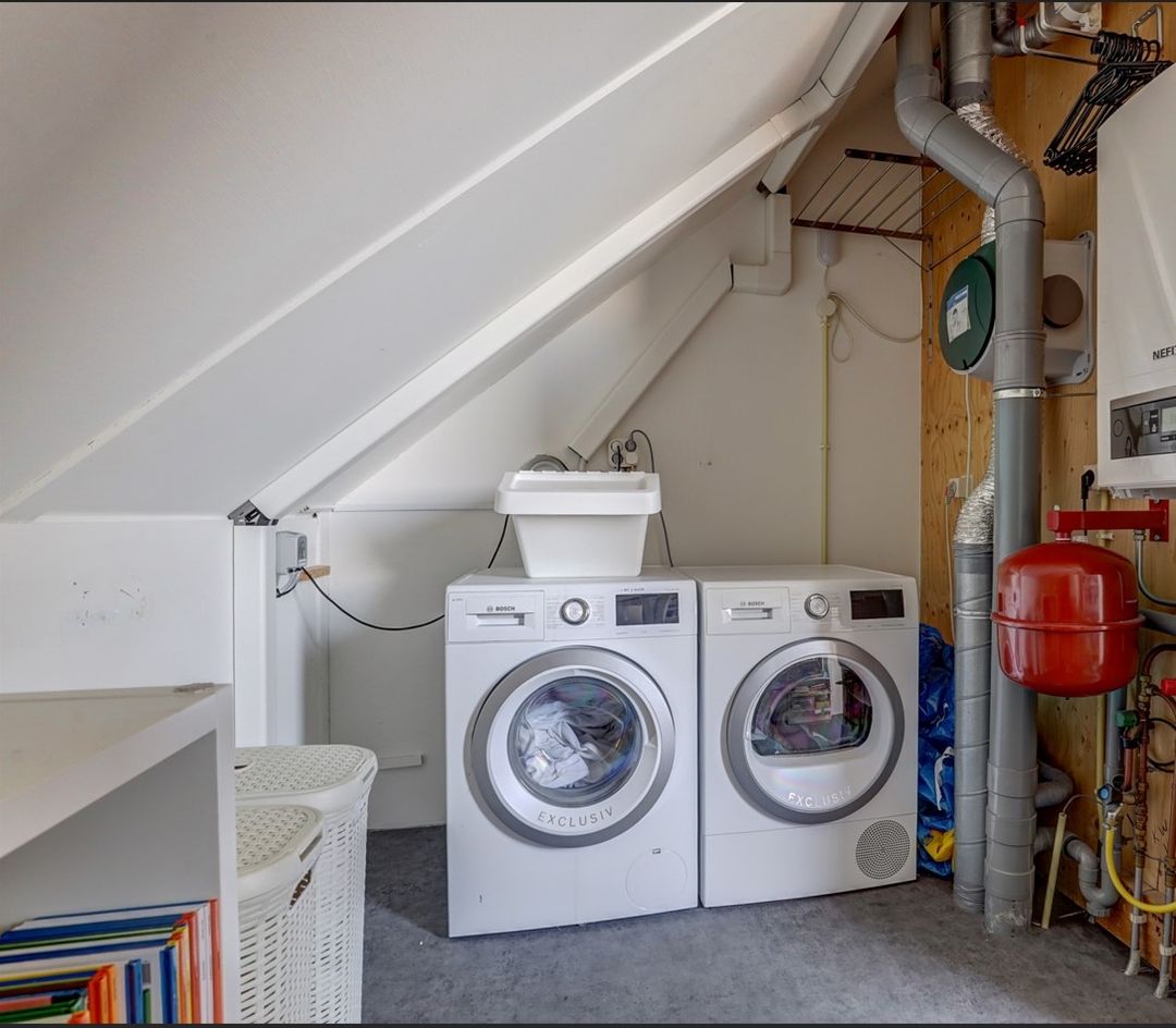 Photo 41 of Duizendknoop 3