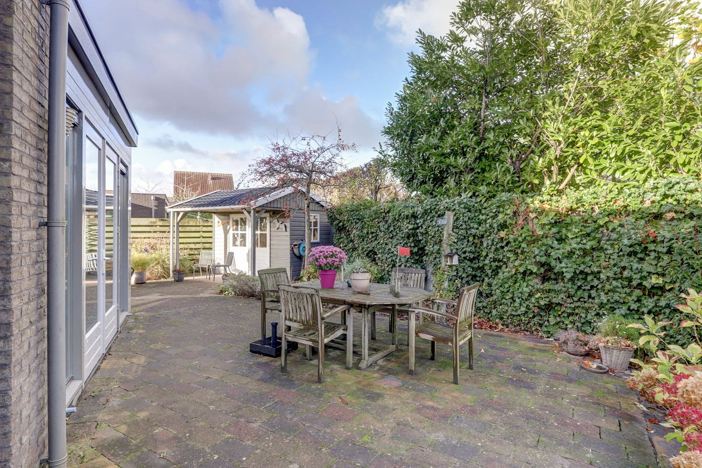 Photo 44 of Duizendknoop 3