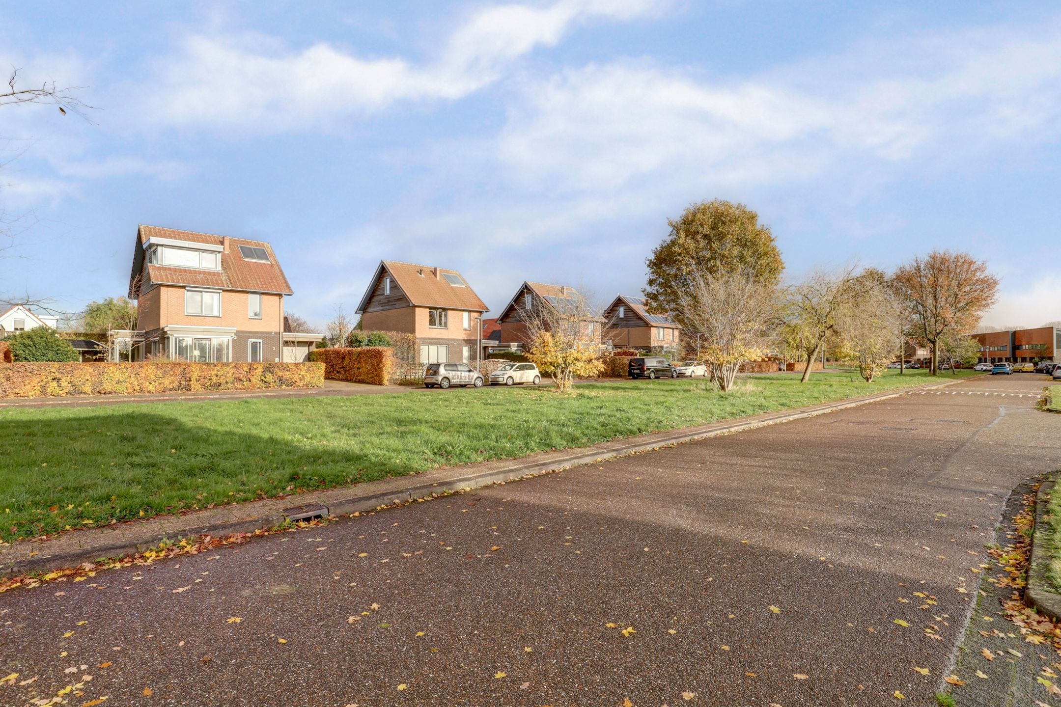 Photo 57 of Duizendknoop 3