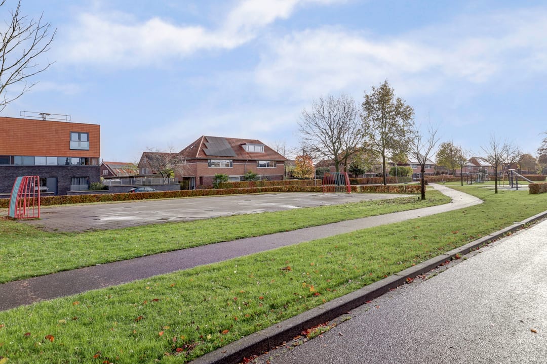 Photo 58 of Duizendknoop 3