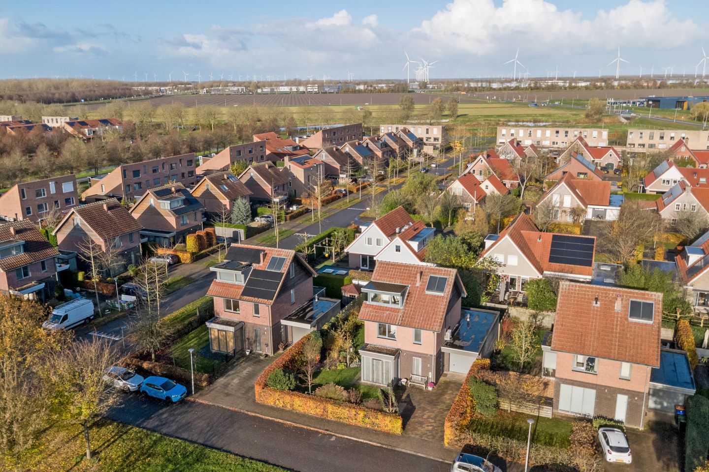 Photo 59 of Duizendknoop 3