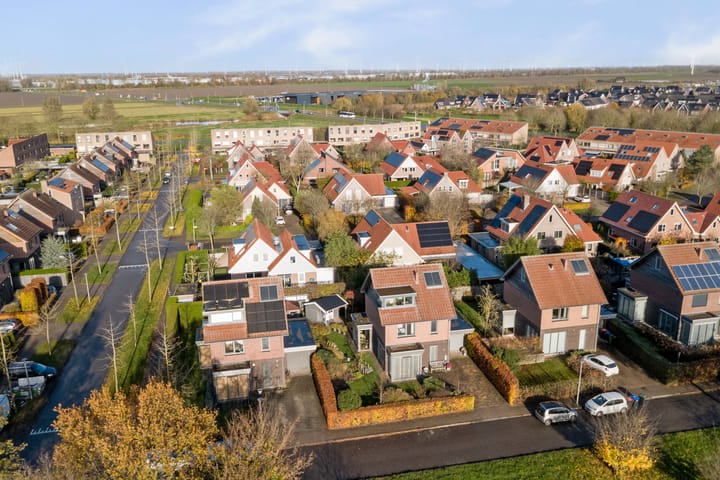 Foto 61 van Duizendknoop 3