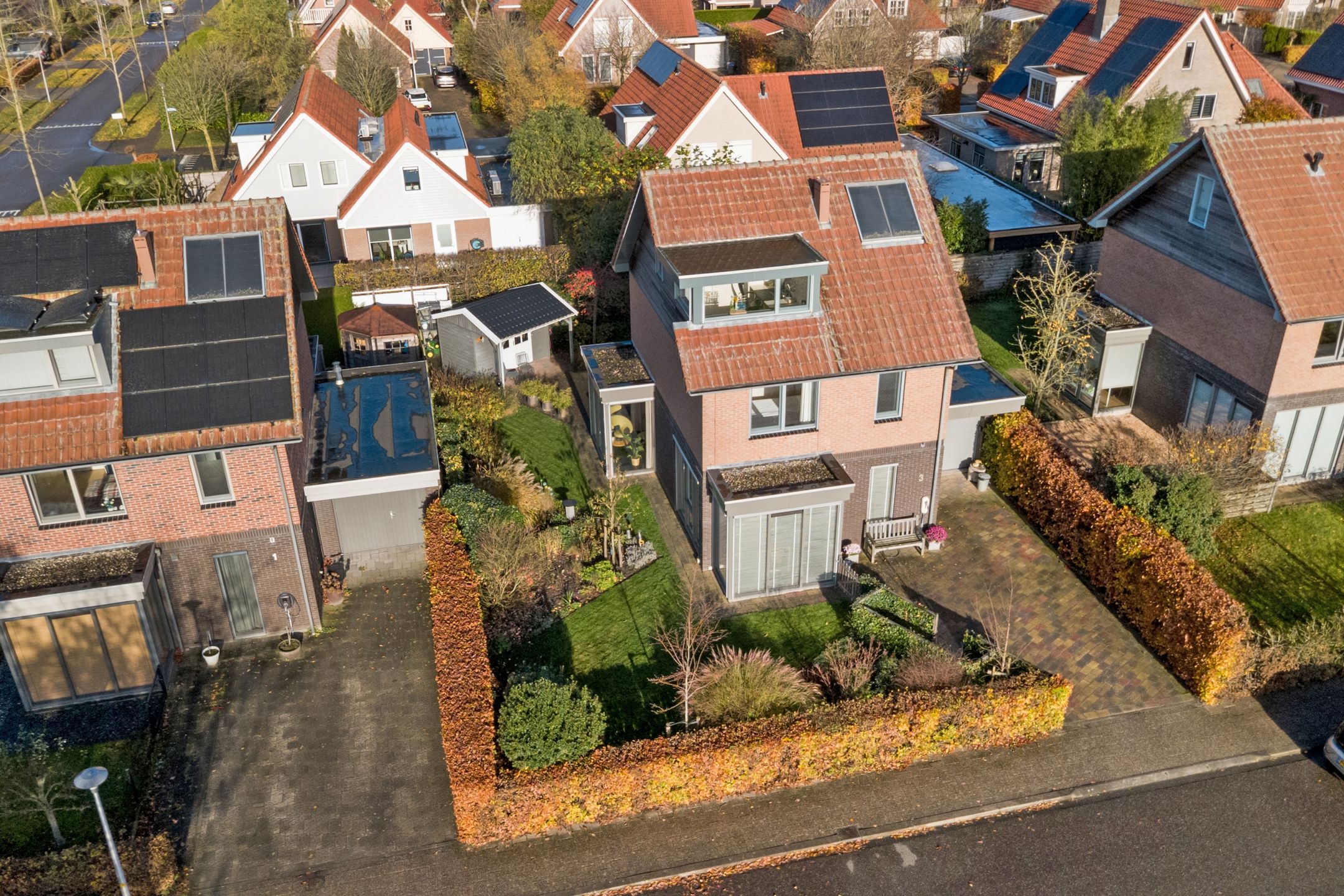 Photo 60 of Duizendknoop 3